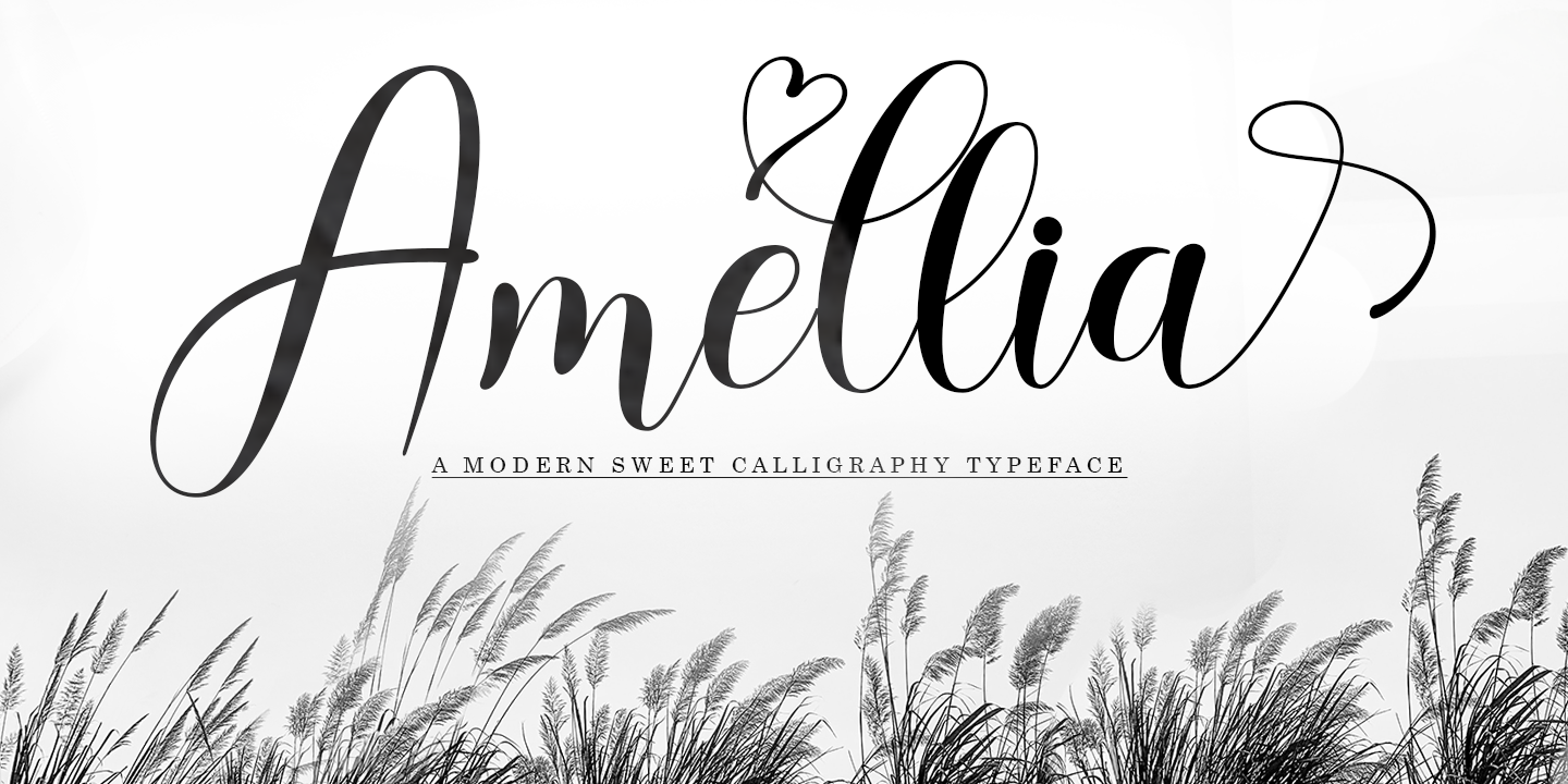 Beispiel einer Amellia Script-Schriftart